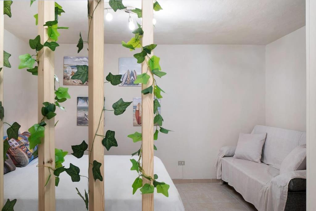 Casa Della Nonna Teresa Apartment Bordighera Ngoại thất bức ảnh